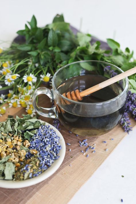 How to Brew Lavender Tea and 6 Recipes to Try Lavender Tea Aesthetic, Lavender Tea Benefits, Peppermint Tea Recipe, Lavender Varieties, Bedtime Tea, Sage Tea, Lavender Benefits, Mountain Rose Herbs, Magical Herbs