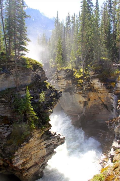 Jasper National Park,Canada Matka Natura, Secret Place, Jasper National Park, Adventure Inspiration, Belle Nature, Air Terjun, Have Inspiration, Mountain Goat, Amazing Views