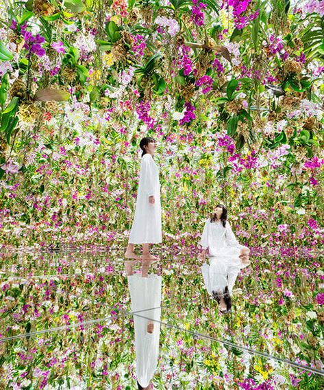 teamLab expands tokyo digital museum with immersive garden Tea Ceremony Japan, Teamlab Planets, Interactive Artwork, Store Entrance, Tokyo Subway, Tokyo Museum, Large Scale Artwork, Floating Garden, 100 Things To Do