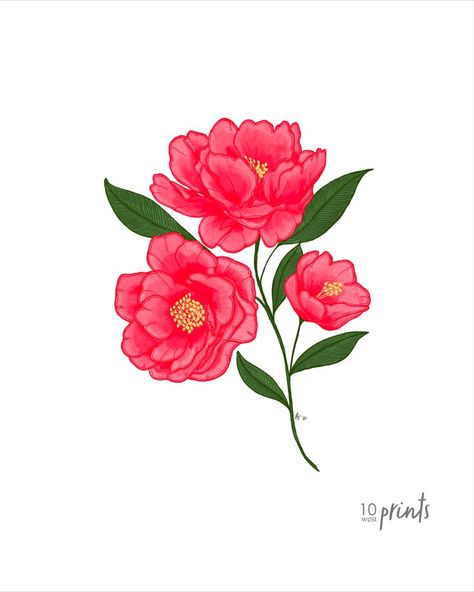 A bright and vivid Camellia branch. Alabama's state flower. Available as a digital download in the following sizes: 5x7, 8x10, 11x14, 16x20 and 18x24. Alabama State Flower, Alabama Tattoos, Color Illustration, Alabama State, Foot Tattoo, Maple Leaf Tattoo, Alabama, Flower Tattoo, Digital Download