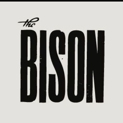 The Bison Bison Logo, Inspiration Typographie, Design Posters, Cat Logo, Minimalist Logo Design, Font Design, Typography Letters, Logo Fonts, Typography Inspiration