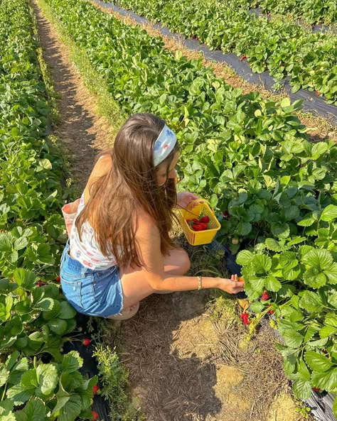 Living the life of Strawberry Shortcake!🍓🌸🌞🍰 #springflowers #springoutfits #flowerfield #strawberries #flowerfestival #strawberrypicking Strawberry Field Photoshoot, Cherry Picking Outfit, Strawberry Picking Pictures, Strawberry Photoshoot, Strawberry Picking Outfit, Picking Strawberries, Cherry Picking, Berry Picking, Strawberry Picking