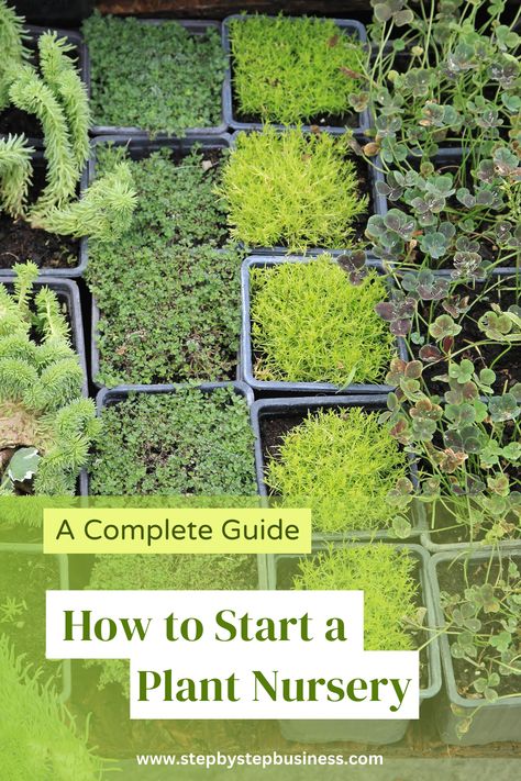 Plant Nursery Layout Plan, Starting A Plant Nursery Business, Starting A Nursery Business, Plants Nursery Ideas, Indoor Plant Nursery Ideas, Backyard Business Ideas, Plant Selling Business, Backyard Nursery Business, Selling Plant Starts