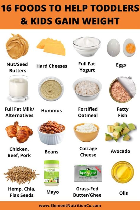 Best foods for weight gain in toddlers and kids Foods To Gain Weight Kids, Toddler Weight Gain Meals, Kids Weight Gain Recipes, Getting Kids To Eat Healthy, High Fat Toddler Food, High Fat Foods For Toddlers, Weight Gain Food For Kids, Weight Gain Meals For Kids, Healthy Fats For Toddlers