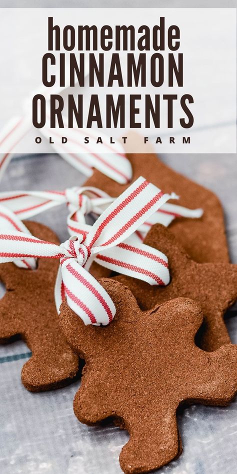 Kids love to make these Homemade Cinnamon Ornaments! They're a great Christmas craft to do together, plus they look and smell amazing! Darling DIY Christmas tree ornaments. Cinnamon Ornaments Recipe, Homemade Cinnamon Ornaments, Popcorn Garland, Cinnamon Ornaments, Farmhouse Style Christmas, Gift Jar, Diy Christmas Tree Ornaments, Homemade Christmas Decorations, Homemade Ornaments