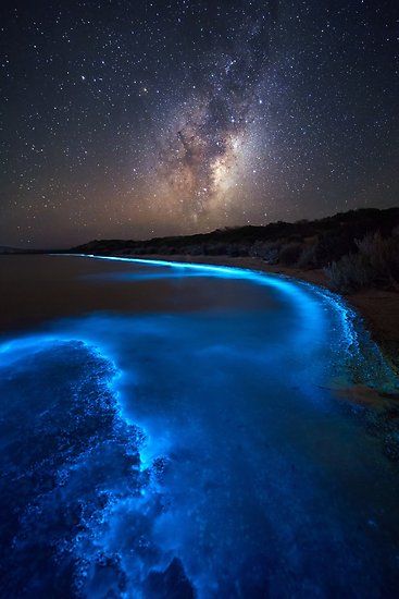 Bioluminescent Bay, Hobart Tasmania, Beautiful Nature Wallpaper, The Night Sky, Hobart, Tasmania, Fantasy Landscape, Nature Wallpaper, Milky Way