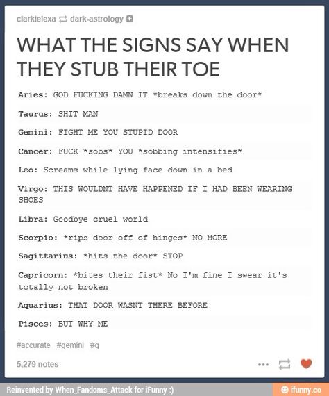 What the signs say when they stub their toe Funny Zodiac, Aries Traits, Zodiac Funny, Zodiac Sign Traits, Zodiac Stuff, Zodiac Posts, Zodiac Signs Gemini, Zodiac Signs Horoscope, Zodiac Signs Funny