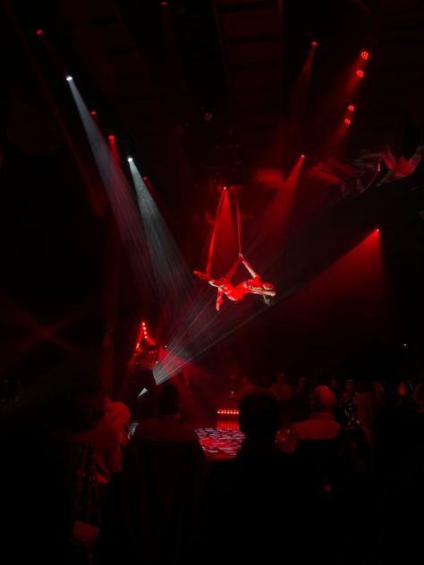 Red Pole Dancing Aesthetic, Burlesque Club Aesthetic, Hedonism Aesthetic, Burlesque Aesthetic, Burlesque Stage, Burlesque Performance, Burlesque Club, Burlesque Theme, Burlesque Party