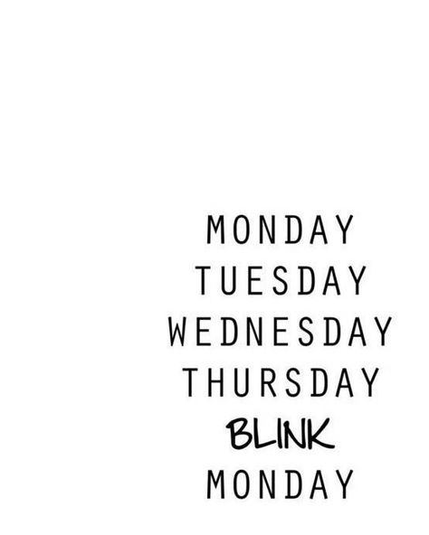 Another weekend gone in the blink of an eye! #sydneyscloset Funny Work Quotes, Happy Weekend Quotes, Weekend Quotes, Fina Ord, Work Quotes Funny, Monday Quotes, Motiverende Quotes, Sunday Quotes, Funny Work