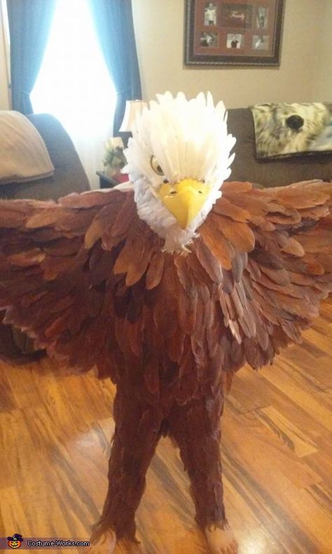 Diana: My 8 year old decided this year he wanted to become a Bald Eagle!! When i asked him why such a choice his replyIts the USA bird mom!! After many... Eagle Costume, Halloween Costumes Group, Funny Group Halloween Costumes, Best Group Halloween Costumes, Halloween Costumes Kids Boys, Funny Couple Halloween Costumes, Halloween Diy Outdoor, Best Friend Halloween Costumes, Bird Costume