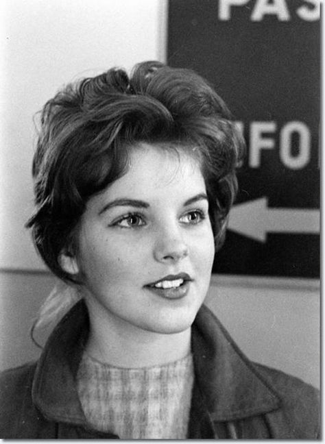 Young Priscilla Presley in a G... is listed (or ranked) 2 on the list 13 Pictures of Young Priscilla Presley Young Priscilla Presley, Freddy Rodriguez, Elvis Presley Priscilla, Elvis Presley Family, Sean Leonard, Elvis And Priscilla, Under The Knife, American Legend, Priscilla Presley