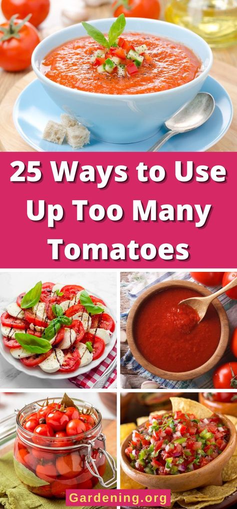 25 Ways to Use Up Too Many Tomatoes What To Do With Mushy Tomatoes, Uses For Grape Tomatoes, Recipe That Uses Lots Of Tomatoes, Use Tomatoes Up, What To Do With Extra Tomatoes From Garden, Ways To Use Fresh Tomatoes, Over Ripe Tomatoes What To Do With, Over Ripe Tomatoes Recipes, Ways To Use Tomatoes