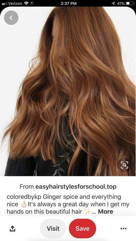 Ginger Ash Hair, Copper Hair Gloss, Red Hair Glaze, Medium Golden Copper Hair, Blake Lively Red Hair, Ginger Hair With Dark Roots, Ginger Spice Hair, Ginger Brunette Hair, Natural Red Hair Color