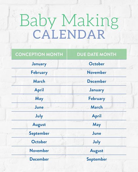 Conception month - due date month Pregnant Month Due Date, Months To Conceive, Due Date Month, Pregnancy Months Due Date, Baby Conception Month, March Due Date Pregnancy Announcement, Conception Month Birth Month, Pregnancy Chart, Parenting Hacks Baby