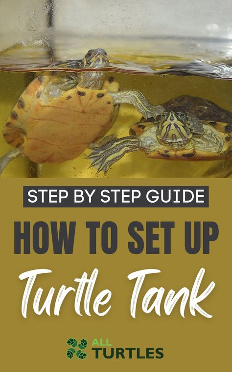 Turtle Homes Ideas, Turtle Setup, Aquatic Turtle Habitat, Pet Turtle Care, Aquatic Turtle Tank, Turtle Tank Setup, River Turtle, Red Eared Slider Turtle, Turtle Facts