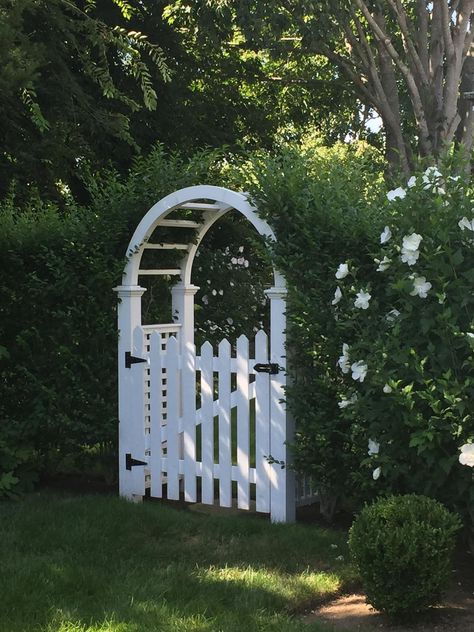 Pergolas, Arbor With Gate, Front Yard Hedges, Garden Arbor With Gate, Arbor Gate, Bay Trees, Picket Gate, Arch Gate, Garden Gates And Fencing