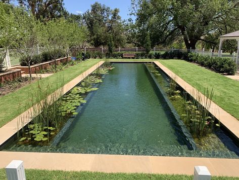 Having completed nearly 70 biologically filtered pools across Australia, Natural Swimming Pools Australia was recently commissioned to convert an existing chlorine pool into a natural pool for a large homestead at the iconic Detroit Station in New South Wales. The team converted the pool just in time for the visit of Prince Charles and Camilla Parker Bowles. Luxury Pools Indoor, Large Pond, Natural Swimming Ponds, Swimming Pond, Pool Chlorine, Natural Swimming Pools, Piscina Natural, Luxury Pools, Natural Swimming Pool