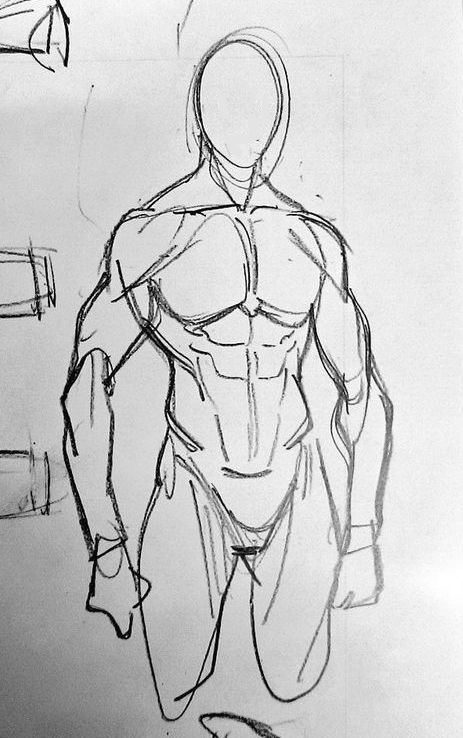 Man Anatomy, Body Study, Human Anatomy Drawing, Human Anatomy Art, Anatomy Sketches, Male Anatomy, Body Reference Drawing, Anatomy References, Art Help