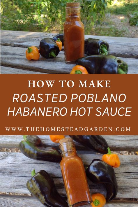 Learn how to make a Roasted Poblano Habanero Hot Sauce Recipe. This balances the sweetness of carrots and honey with the spicy heat of poblano and habanero peppers to make a delicious and thick hot sauce for your chicken wings, subs, pizza, and more. Poblano Hot Sauce Recipe, Habanero Sauce Recipe, Habanero Recipes, Poblano Sauce, Hot Sauce Recipe, Wing Sauce Recipes, Pepper Sauce Recipe, Roasted Poblano, Habanero Sauce