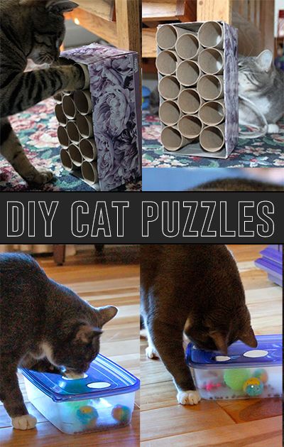 Diy Cat Treats, Diy Cat Tent, Katt Diy, Katt Grejer, Kat Diy, Chat Diy, Cat Entertainment, Homemade Cat Toys, Cat House Diy