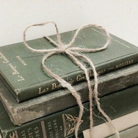 Mint Green Aesthetic, Sage Green Wallpaper, Dark Green Aesthetic, Bellatrix Lestrange, Hogwarts Aesthetic, Slytherin Aesthetic, Green Books, Aesthetic Colors, Shabby Chic Homes