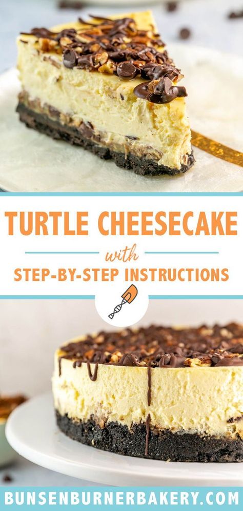 Cheesecake Recipes With Oreo Crust, Cheesecake With Chocolate Crust, White Chocolate Macadamia Nut Cheesecake, 2 Tier Cheesecake, Turtle Pecan Cheesecake, Cheesecake Recipes Turtle, Turtle Cheesecake Recipe Easy, Best Cheesecake Recipe Homemade, Easy Turtle Cheesecake