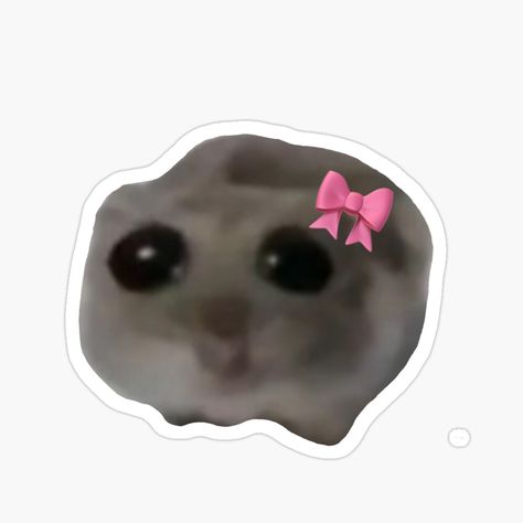 Hamster Meme, Weird Stickers, Y2k Stickers, Funny Laptop Stickers, Preppy Stickers, Cute Laptop Stickers, Computer Sticker, Phone Stickers, Meme Stickers