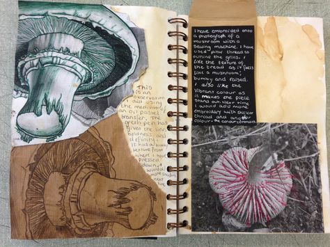 YR10 - Natural forms - observations - JO Gcse Textiles Sketchbook Natural Forms, Gcse Art Observational Drawings Sketchbook Pages, A Level Art Experimentation Page, Natural Forms Textiles Sketchbook Pages, Natural Forms Artists, Gcse Natural Forms, Natural Forms Sketchbook, Natural Forms Gcse Title Page, Gcse Art Natural Forms