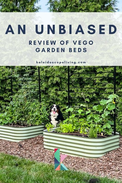 Gardening can be surprisingly fun, especially for families. But not everyone has a sprawling backyard that's perfect for planting. That's where raised garden beds come in handy! We purchased Vego garden beds a year ago and today I'm sharing our completely unbiased review of them. I'm sharing their pros and cons, materials, sizes, and configuration options. Vego garden beds are known for their durability, ease of use, and versatility, but are they right for you? Keep reading to find out! Vego Garden Bed Layouts, Vega Garden Beds, Vego Raised Garden Beds, Vego Garden Beds, Vego Garden Layouts, Making Raised Garden Beds, Modular Raised Garden Beds, Vego Garden, Garden Bed Layout