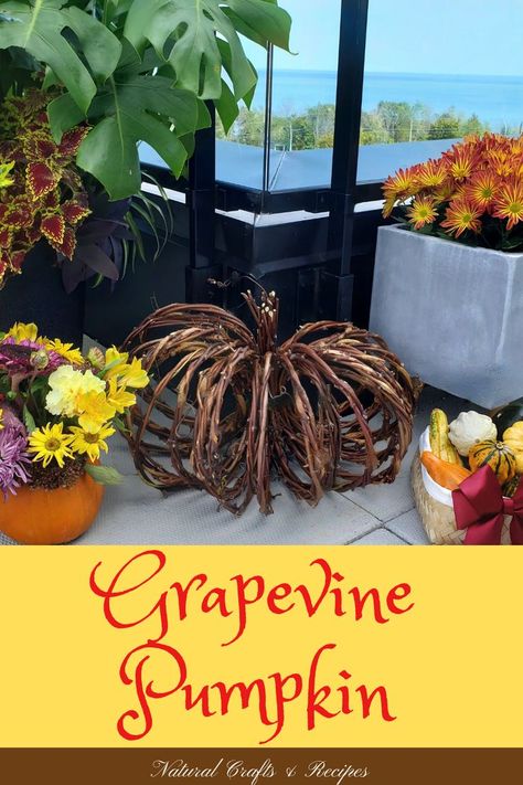 A grapevine pumpkin surrounded by fall decor Grapevine Chandelier Diy, Grape Vine Projects, Grapevine Craft Ideas, Grapevine Pumpkin Diy, How To Make A Grapevine Tree, Grapevine Trees Diy How To Make, Grapevine Crafts Projects, Kudzu Vine Crafts, Grapevine Crafts Diy