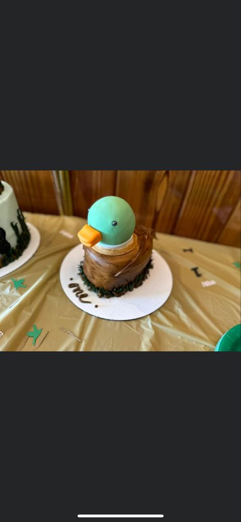 Duck Smash Cake First Birthdays, One Lucky Duck Photoshoot, One Lucky Duck Party Favors, One Lucky Duck Smash Cake, One Lucky Duck Cake, One Lucky Duck Birthday Party Decor, One Lucky Duck Birthday Cake, One Lucky Duck Birthday Party Mallard, Mallard Cake