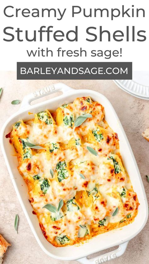 These pumpkin stuffed shells are filled with spiced ricotta and spinach, then smothered in a creamy pumpkin sauce! A cozy twist on classic stuffed shells, they're the perfect vegetarian fall dinner! Pumpkin Manicotti, Pumpkin Stuffed Shells, Spinach Ricotta Pasta, Shell Pasta Recipes, Spinach Stuffed Shells, Stuffed Shells Ricotta, Favorite Pasta Recipes, Pasta Sauce Homemade, Pumpkin Sauce