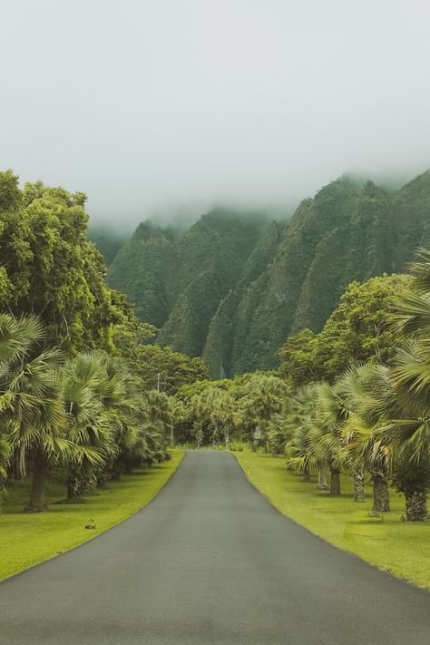 Hawaii Aesthetic Home, Hawaii Green Aesthetic, House In Hawaii Aesthetic, Tropical Green Aesthetic, Old Hawaii Aesthetic, Hawaii Travel Aesthetic, Travel Green Aesthetic, Hawaii Aesthetic Vintage, Green Travel Aesthetic