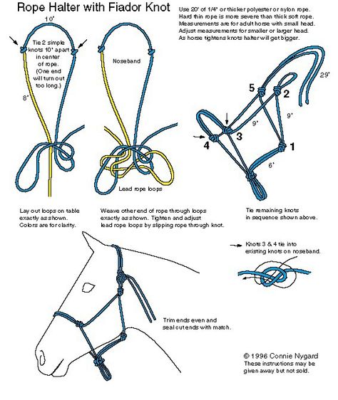 Rope halter Fiador Knot, Horse Tack Diy, Horse Information, Hantverk Diy, Horse Halters, Horse Halter, Rasy Koni, Rope Halter, Natural Horsemanship