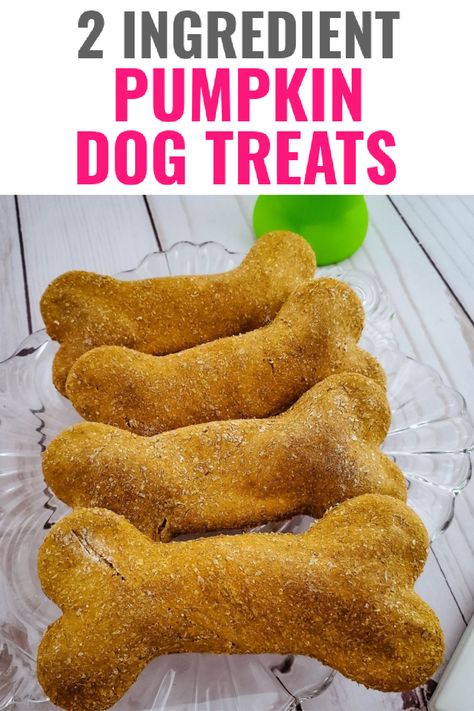 Canned Pumpkin Dog Recipes, Pumpkin Dog Treat Recipe Easy, Pumpkin Cookies For Dogs Doggie Treats, Pumpkin Dog Treats With Oat Flour, Pumpkin Seed Dog Treats, Pumpkin Puree Dog Recipes, Puppy Treats Homemade Easy Pumpkin, Pumpkin Recipes For Dogs Doggie Treats, Dog Safe Pumpkin Treats