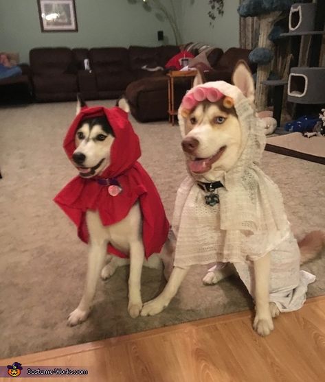 Little Red Riding Hood and the Bad Wolf Costume - 2016 Halloween Costume Contest via @costume_works Red Riding Hood Costume Kids, Cute Dog Halloween Costumes, Wolf Halloween Costume, Halloween Costumes 2016, The Big Bad Wolf, New Halloween Costumes, Wolf Costume, Diy Dog Costumes, Costumes Couples