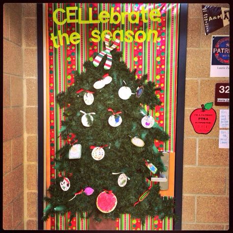 School Biology door decorating contest. Biology Christmas Door, Science Christmas Door Decorations, Biology Christmas, Biology Classroom Decorations, Classroom Christmas Door, Christmas Doors, Classroom Christmas Decorations, Holiday Door Decorations, School Biology