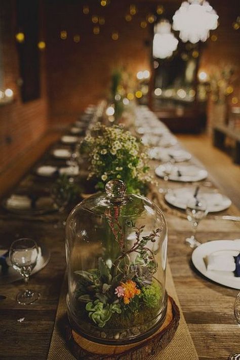 country terrariums wedding centerpiece / http://www.himisspuff.com/geometric-terrarium-wedding-ideas/8/ Terrarium Wedding Centerpiece, Geometric Terrarium Wedding, Carondelet House Wedding, Iris Wedding, Centerpieces Rustic, Cloche Decor, Terrarium Centerpiece, Terrarium Wedding, Expensive Flowers