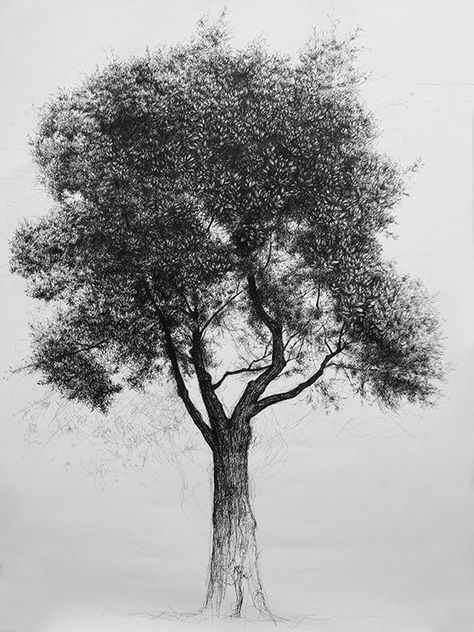 How to Draw a Tree in Pen and Ink Once you have drawn a tree using a basic method in pencil, aspire to try your hand at more challenging techniques. Draw A Tree, Improve Drawings, Landscape Pencil Drawings, Tree Drawings Pencil, Water Drawing, Nature Life, Tinta China, Zentangle Drawings, Still Life Drawing