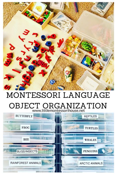 Montessori Organization Ideas, Montessori Organization, Homeschool Space, Montessori House, Montessori Activities Preschool, Bee Life Cycle, Montessori Language, Montessori Lessons, Montessori Diy