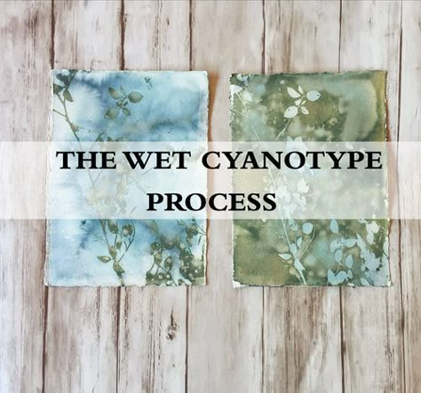 Cyanotype Tutorial, Cyanotype Photography, Cyanotype Ideas, Anna Atkins, Cyanotype Printing, Sun Printing, Cyanotype Art, Cyanotype Process, Cyanotype Print