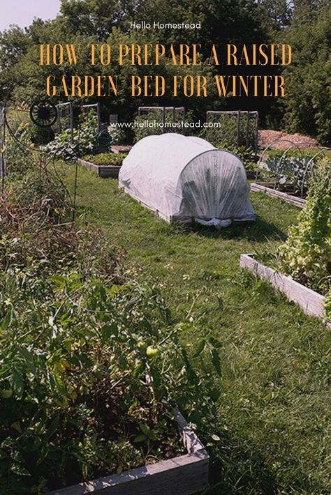 How To Winterize Raised Garden Beds, Garden Winter Prep, Winter Homestead, Michigan Garden, Sunny Funny, Above Ground Garden, Michigan Gardening, Garden Preparation, Vegetable Garden Beds