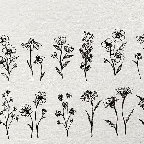 Alice on Instagram: "▫️Paper meadow▫️ . It’s April and everything is blooming 🖤 . . . . #floraldoodle #flowerdoodle #flowerdoodles #drawingflowers #drawingflower #lovesdrawing #forflowerlovers #floralart #floralartist #tinyart #tinyflower #botanicalart #botanicalcreativity #practicemakesbetter #sakuraofamerica #pigmamicron #micronpenart #blackandwhiteflowers #blackandwhiteartwork #watercolourpaper #inkdoodle #alicelovesdrawing" Meadow Flowers Drawing, April Doodles, Drawing Botanicals, Micron Pen Art, Ink Doodles, Pottery Inspo, Animal Drawings Sketches, Floral Doodle, Black And White Artwork