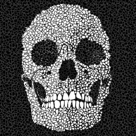 Skull mosaic,made by Besana mosaici. Mosaic Skull Art, Skull Mosaic, Skeleton Heads, Skull Furniture, Bullet Crafts, Mosaic Tile Art, Floor Tile Design, Jeepers Creepers, Mosaic Artwork