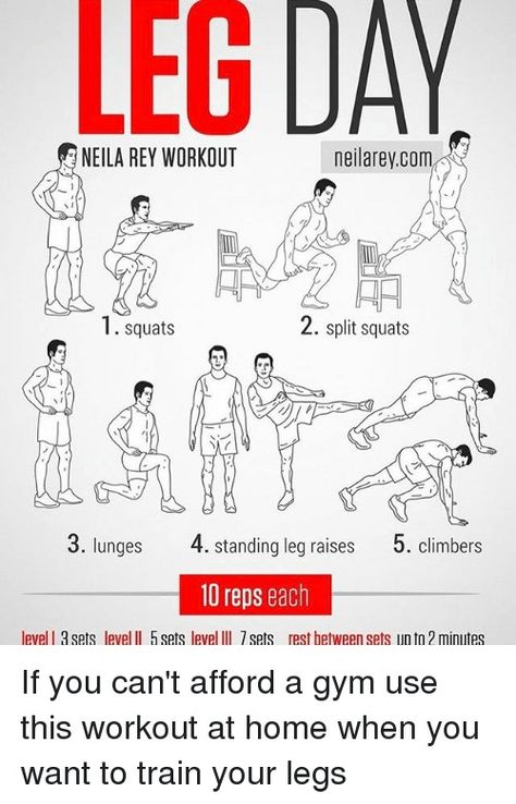 Standing Leg Raises, Leg Workouts At Home, Best Leg Workouts, Neila Rey Workout, Leg Workouts For Men, Killer Leg Workouts, Best Leg Workout, Leg Workout At Home, Leg Workouts