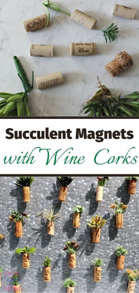 Quick And Easy DIY Wine Cork Succulent Magnets Our Crafty Mom Succulent Magnets, Cork Diy Projects, Wine Crafts, Wine Cork Diy Crafts, Wine Cork Projects, Wine Cork Diy, Diy Magnets, Cork Projects, Crafty Mom