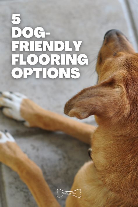 Dog Flooring Ideas, Dog Proof Flooring, Pet Friendly Living Room Ideas, Dog Playroom Ideas, Dog Friendly Home Ideas, Dog Friendly Flooring, Maltese Grooming, Pet Friendly Living Room, Pet Friendly Flooring