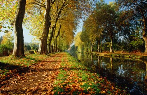 Briare Canal, Loire, France in Autumn Between Summer And Fall, Fall Scenes, Loire River, Fall Images, Autumn Park, Seasons Change, River Valley, Severe Weather, Weather Forecast