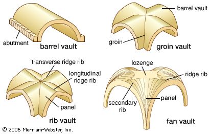 Four common types of vault. A barrel vault (also called a cradle vault, tunnel vault, or wagon vault) has a semicircular cross section. A groin (or cross) vault is formed by the perpendicular intersection of two barrel vaults. A rib (or ribbed) vault is supported by a series of arched diagonal ribs that divide the vault’s surface into panels. A fan vault is composed of concave sections with ribs spreading out like a fan. Ribbed Vault, Vaulted Ceiling Kitchen, Barrel Vault Ceiling, Barrel Ceiling, Shell Structure, Types Of Ceilings, Romanesque Architecture, Plans Architecture, Gothic Cathedrals