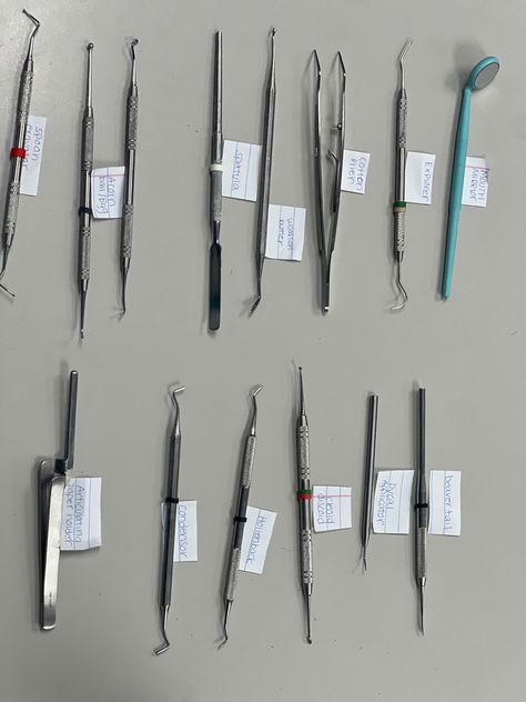 Dental Surgical Assistant, Dental Instruments Names, Dental Tools Names, Dentistry Notes, Dental Assistant Study Guide, Dental Notes, Dental Charting, Dental Terminology, Dental Assistant School